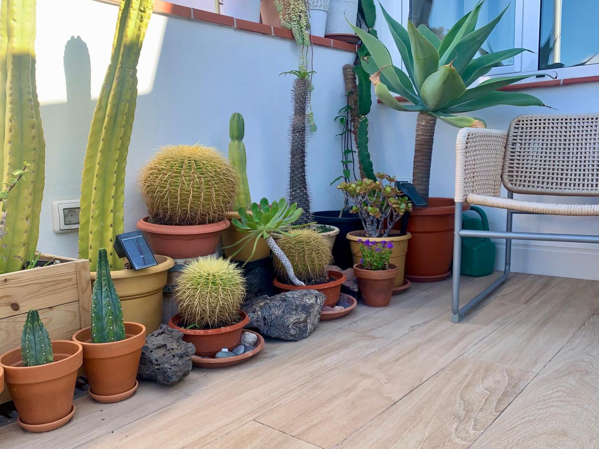 Apartament Atico Con Terraza, Vistas Panoramicas Y Parking Santa Cruz de Tenerife Zewnętrze zdjęcie