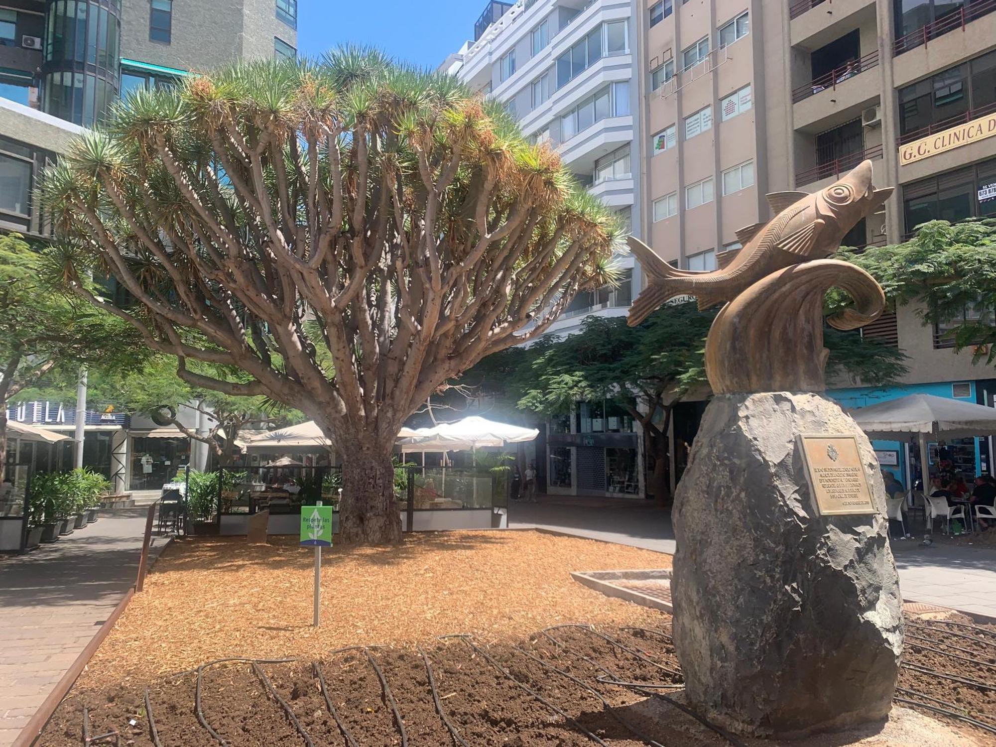Apartament Atico Con Terraza, Vistas Panoramicas Y Parking Santa Cruz de Tenerife Zewnętrze zdjęcie