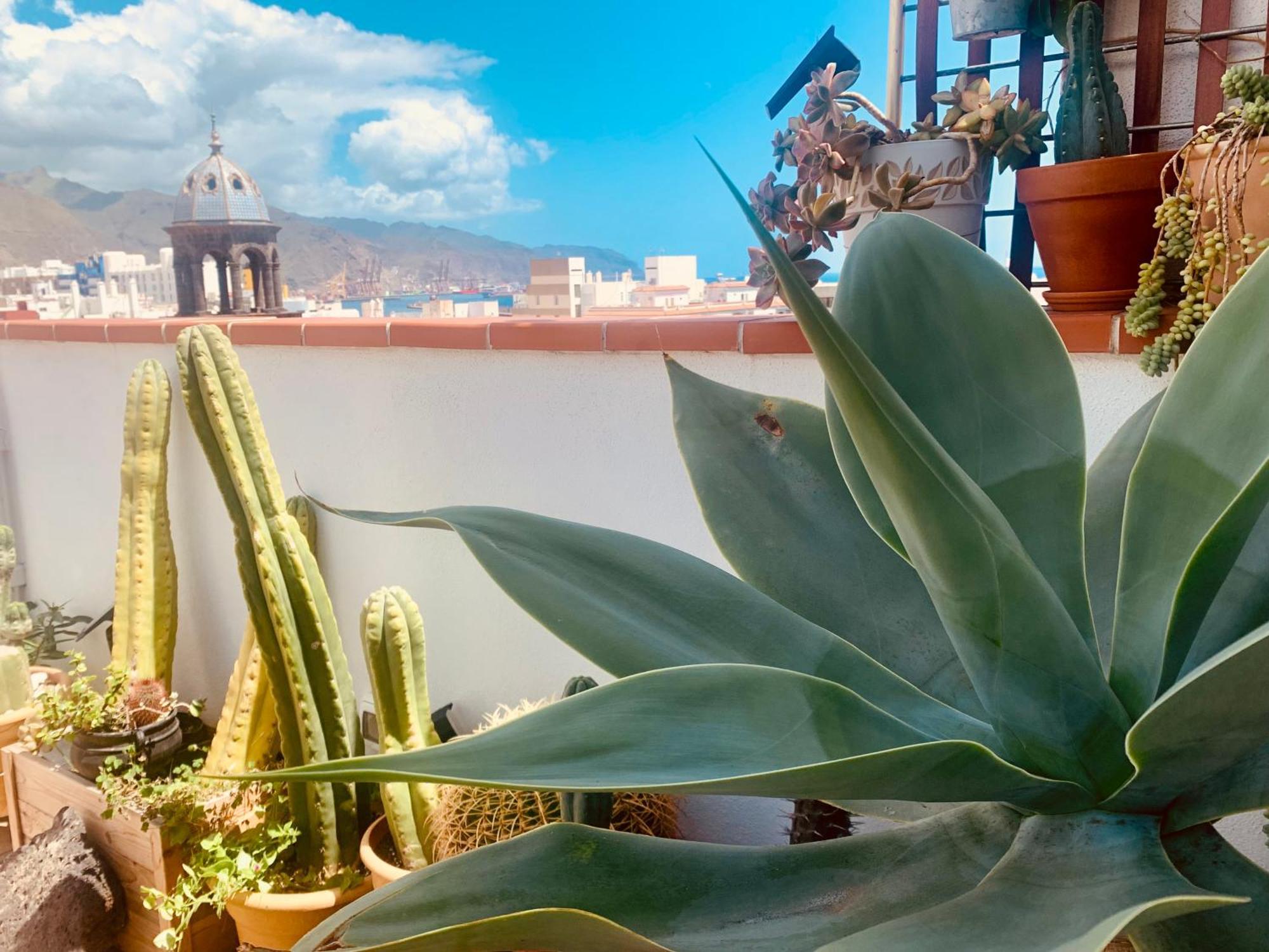 Apartament Atico Con Terraza, Vistas Panoramicas Y Parking Santa Cruz de Tenerife Zewnętrze zdjęcie