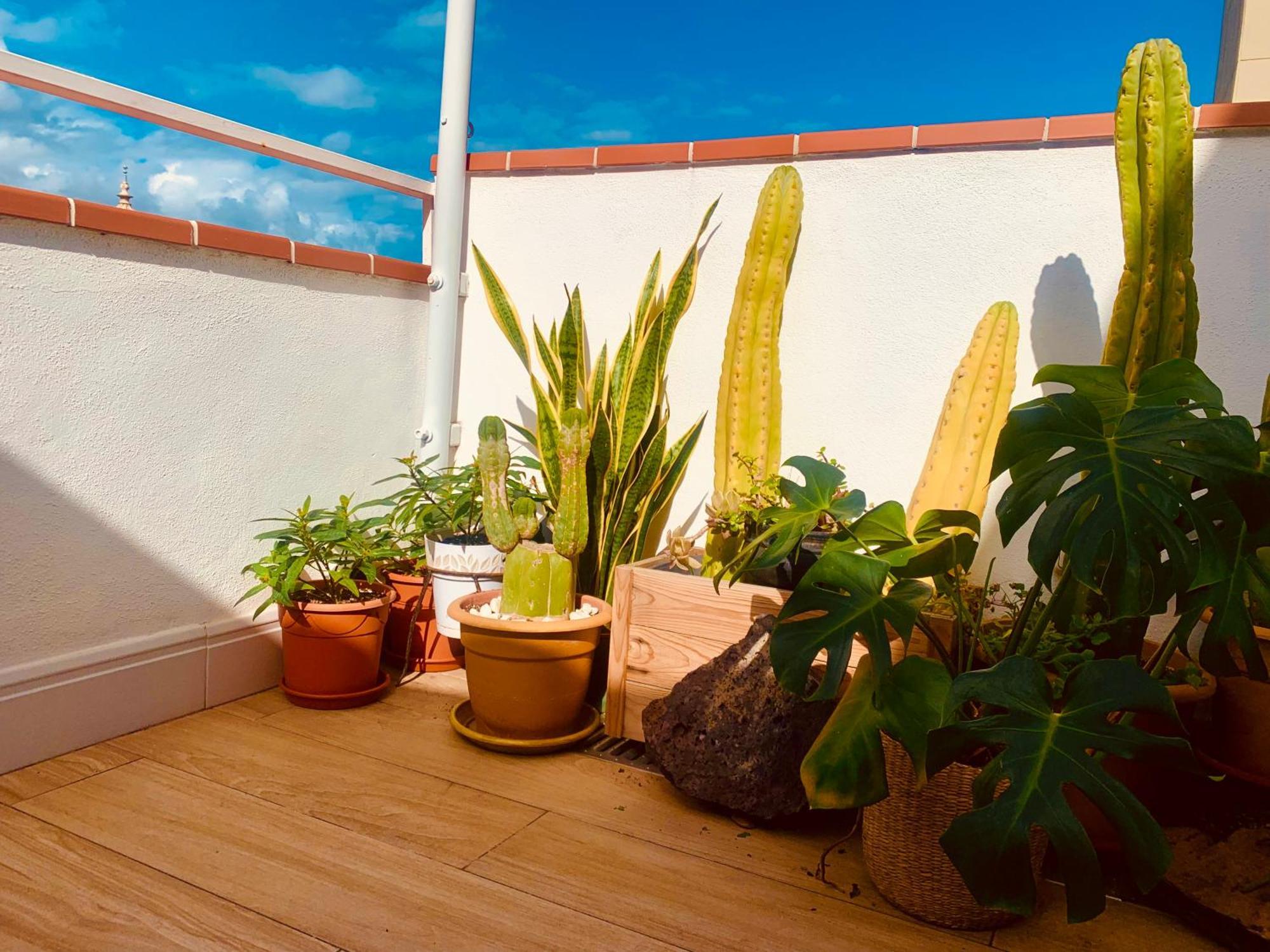 Apartament Atico Con Terraza, Vistas Panoramicas Y Parking Santa Cruz de Tenerife Zewnętrze zdjęcie